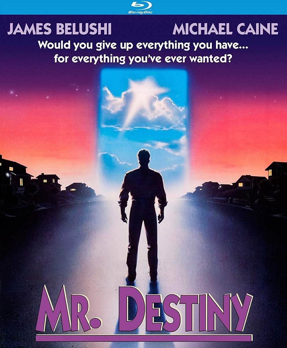 Mr. Destiny 07/18 Blu-ray (Rental)