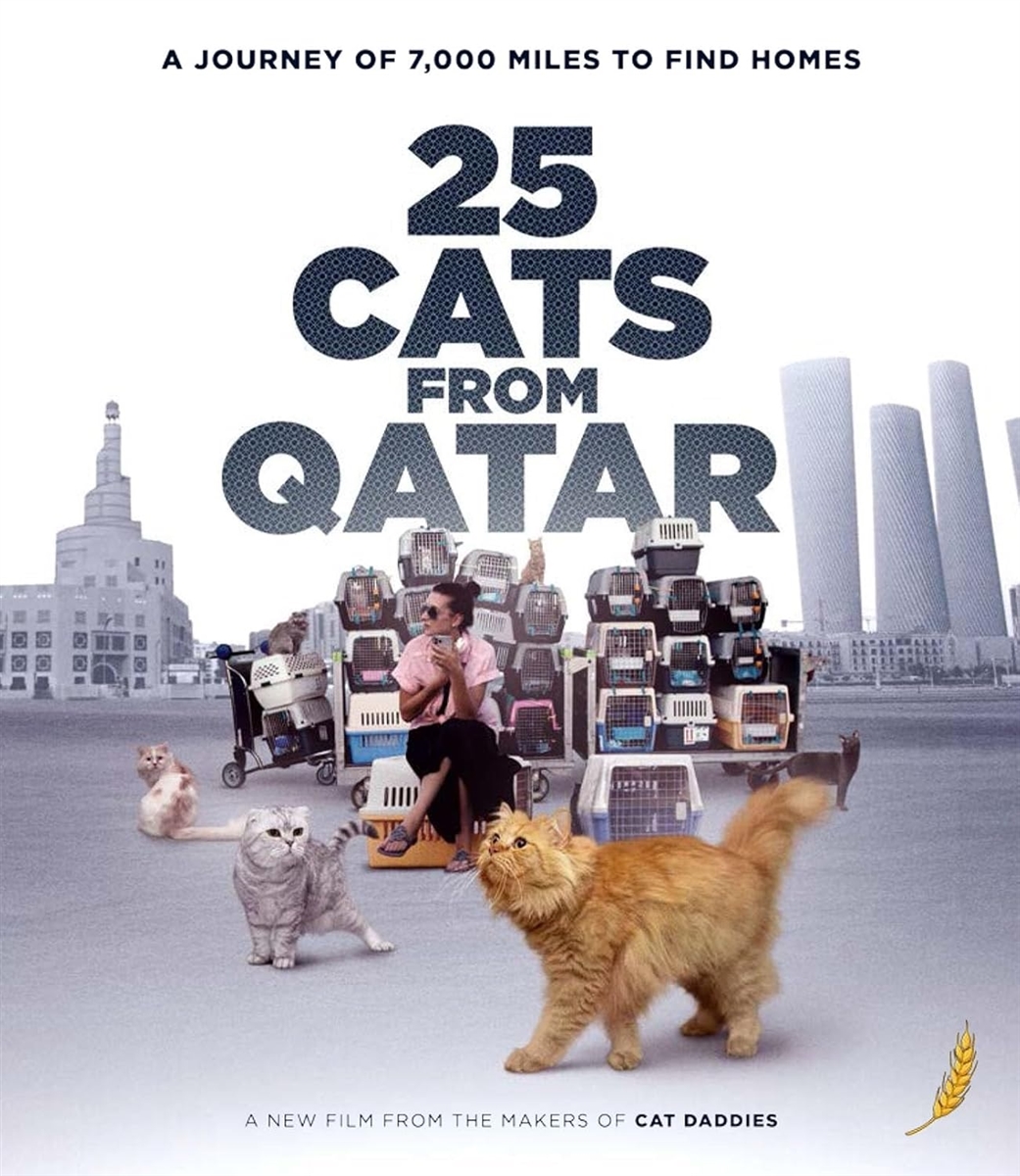 25 Cats From Qatar 07/25 Blu-ray (Rental)