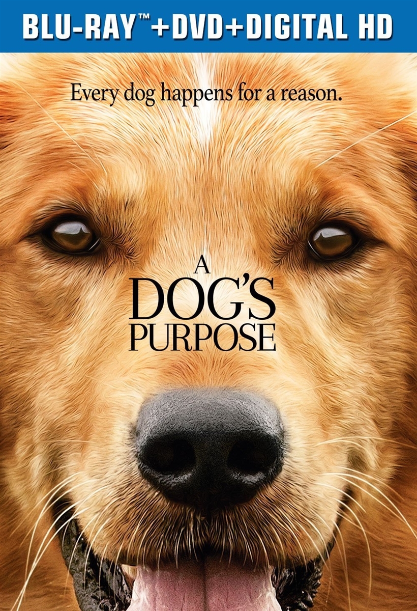 Dog's Purpose 03/17 Blu-ray (Rental)
