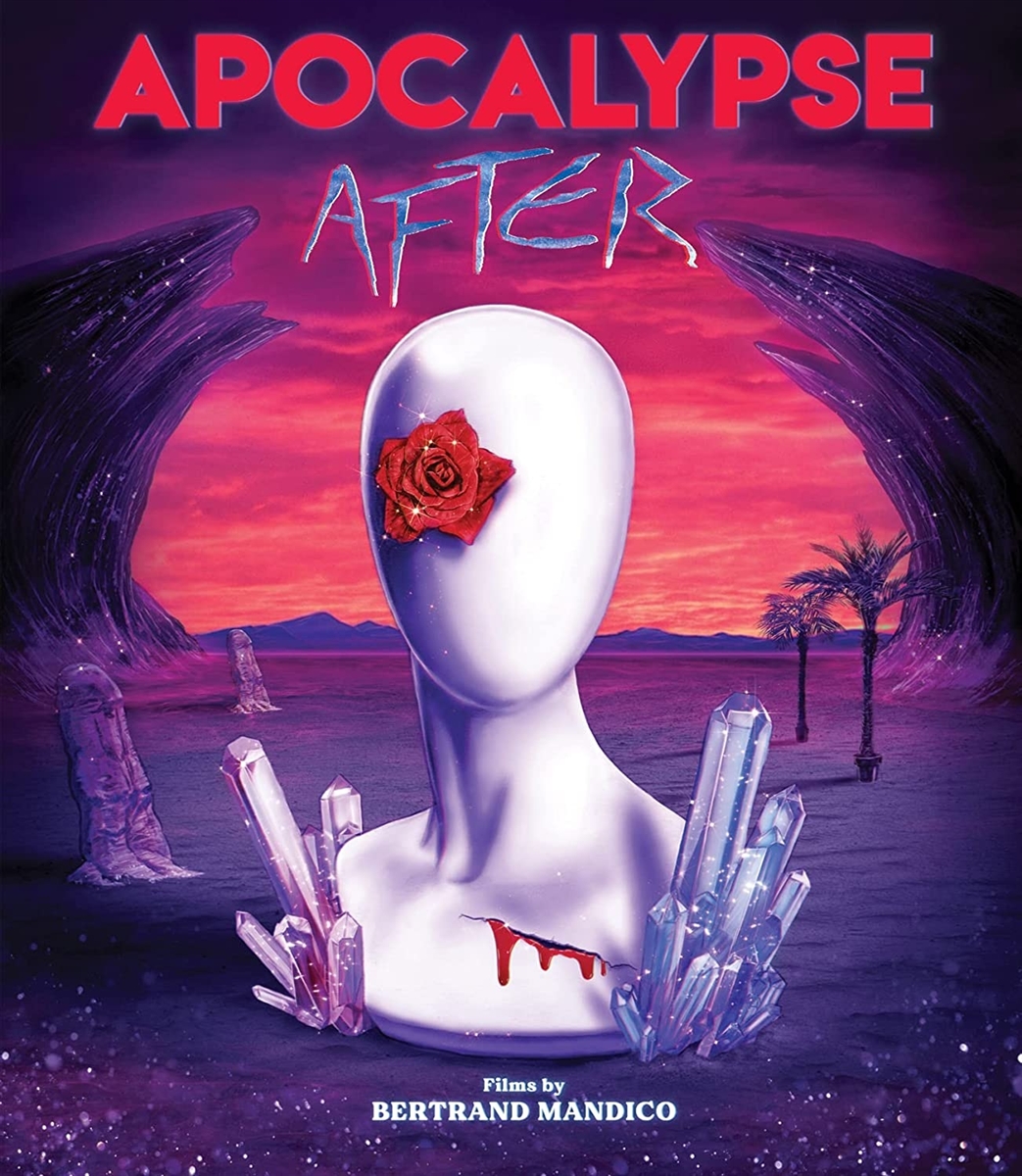 Apocalypse After 11/22 Blu-ray (Rental)