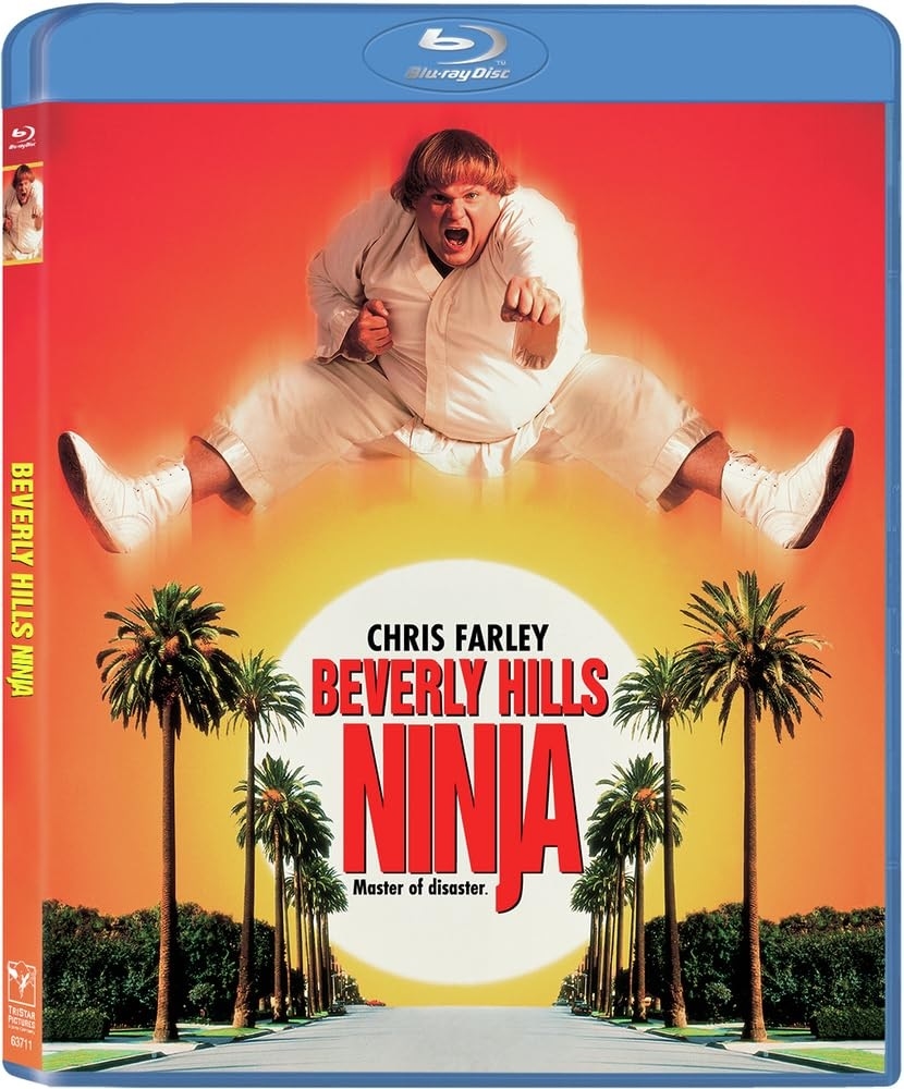 Beverly Hills Ninja 06/24 Blu-ray (Rental)