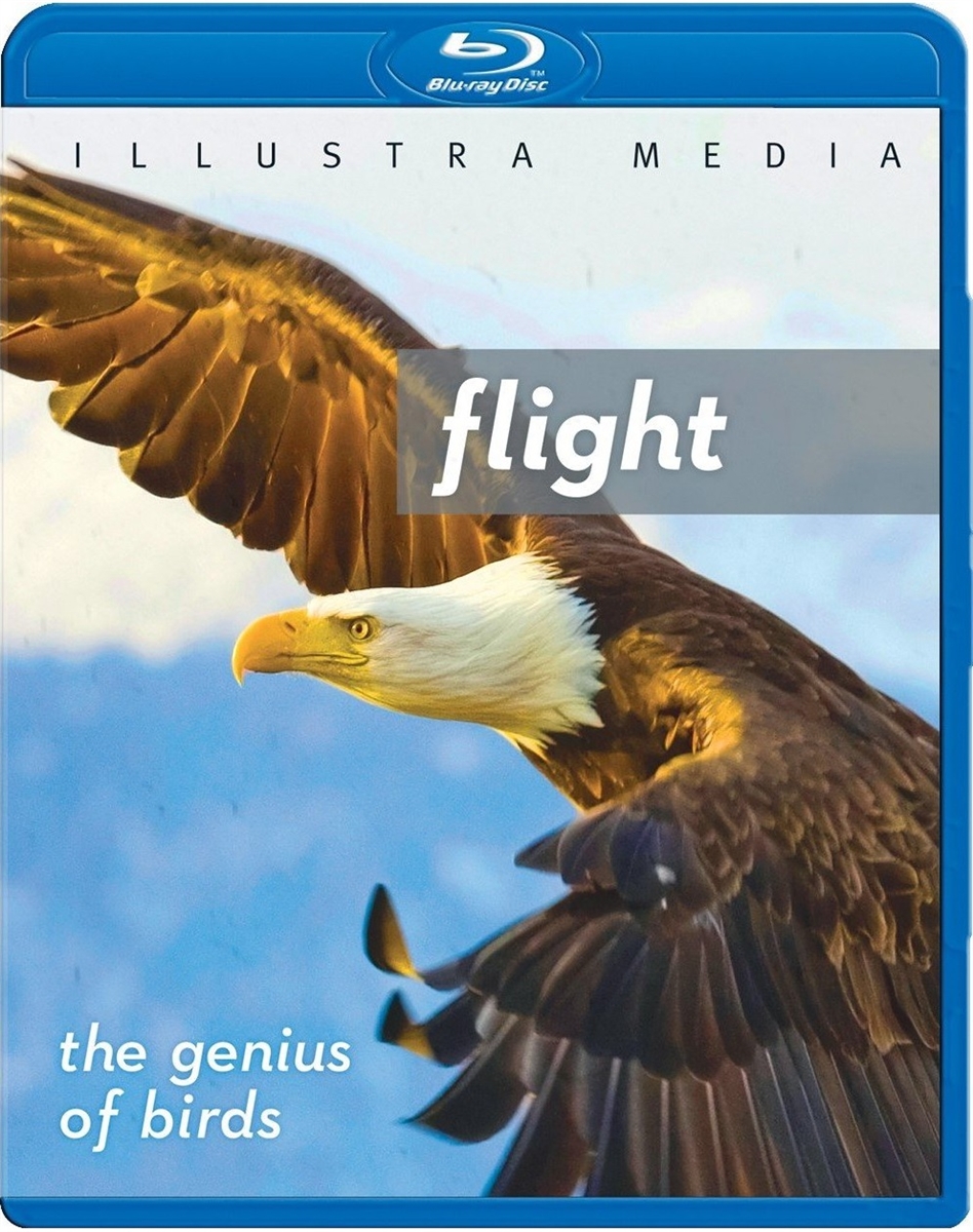 Flight: The Genius of Birds 10/14 Blu-ray (Rental)
