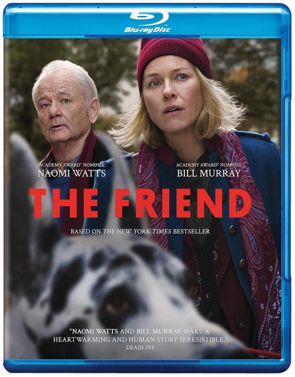 Friend 06/25 Blu-ray (Rental)