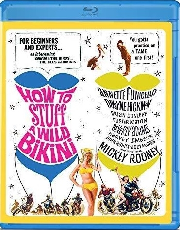 How to Stuff a Wild Bikini 11/19 Blu-ray (Rental)