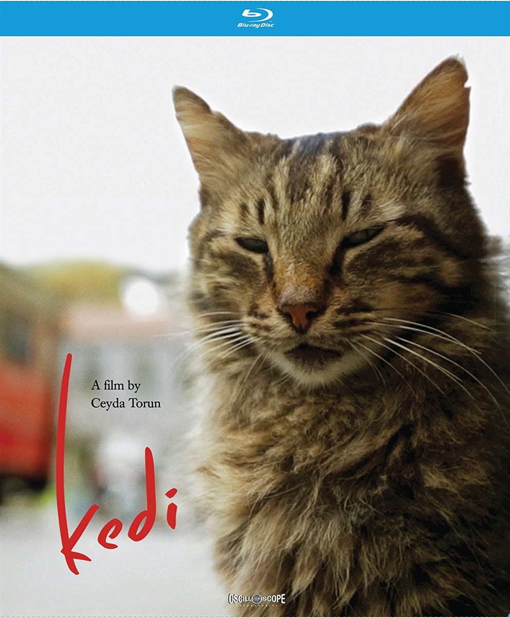 Kedi 11/17 Blu-ray (Rental)