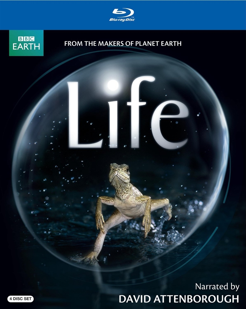 Life - Insects Hunters and Hunted Blu-ray (Rental)