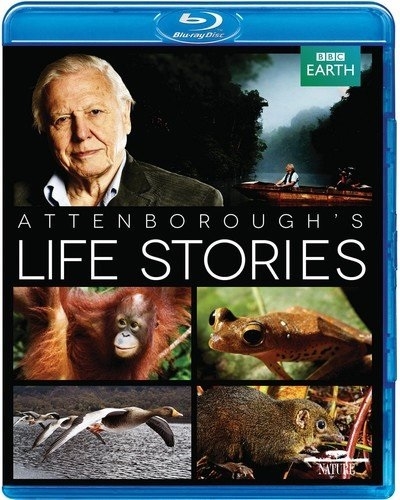 Life Stories (David Attenborough) 05/20 Blu-ray (Rental)