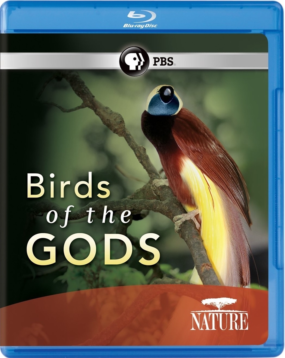 Nature: Birds of the Gods 10/14 Blu-ray (Rental)