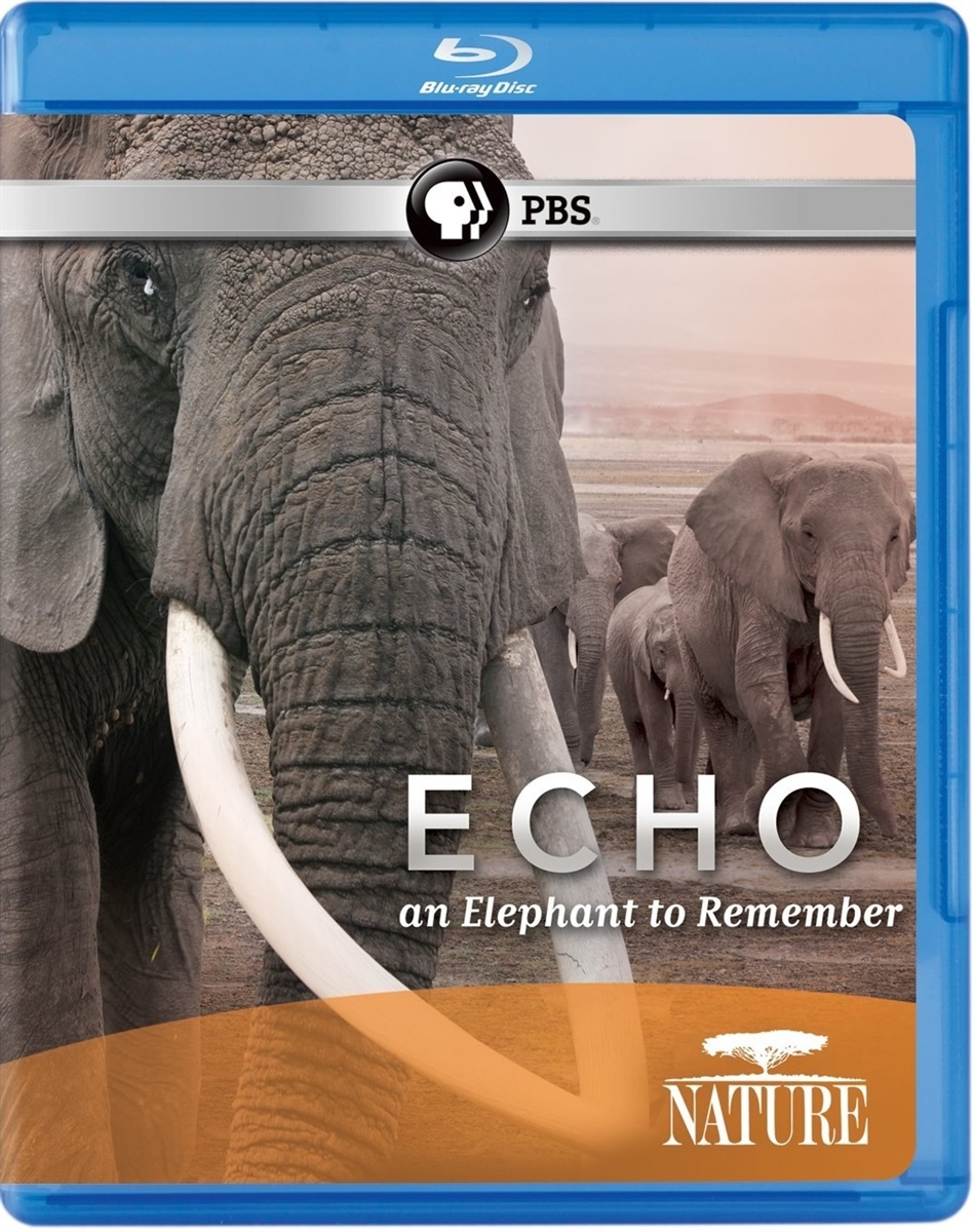 Nature: Echo - An Elephant to Remember 10/14 Blu-ray (Rental)