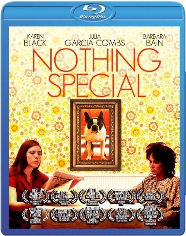 Nothing Special 04/15 Blu-ray (Rental)