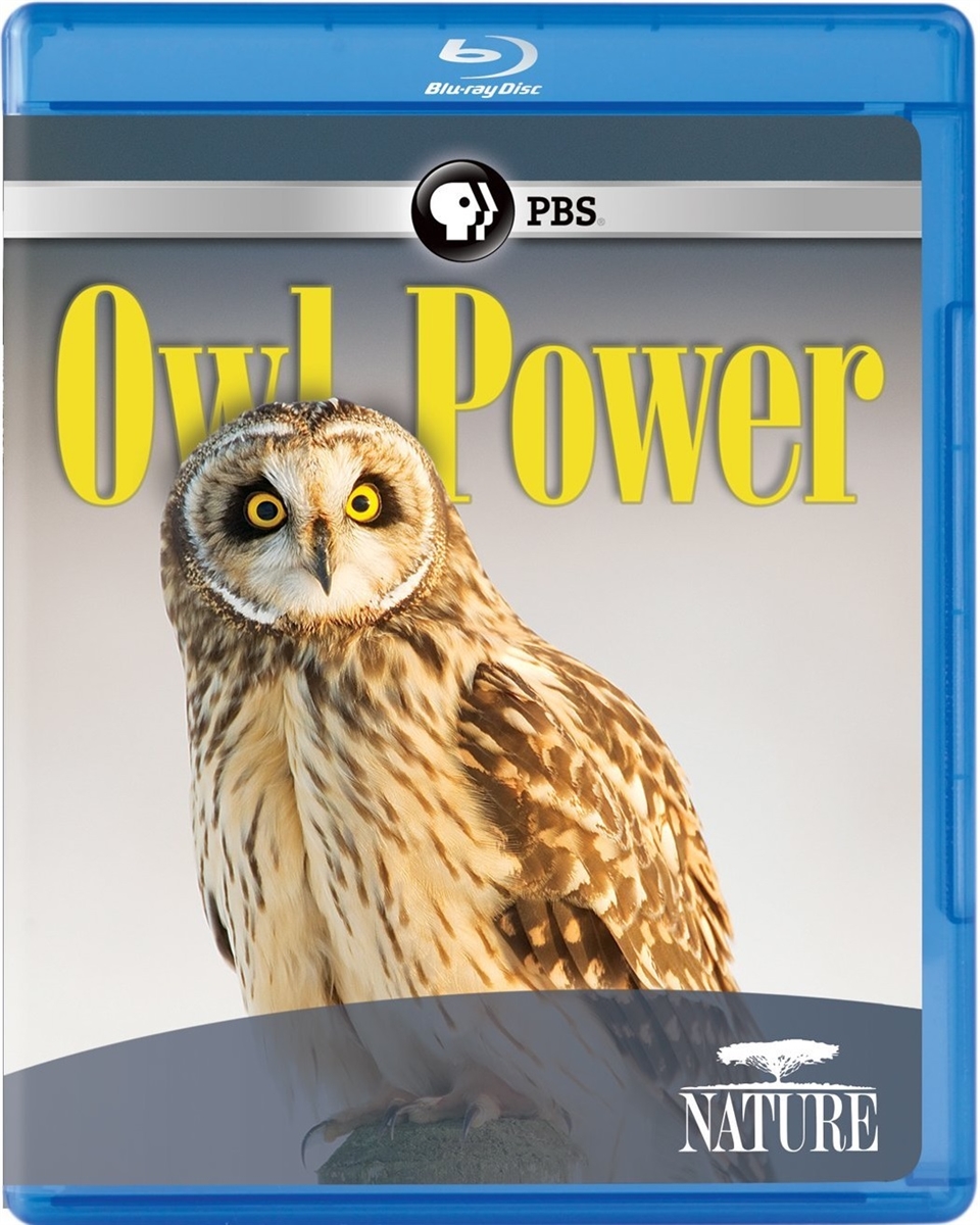 Owl Power 04/15 Blu-ray (Rental)