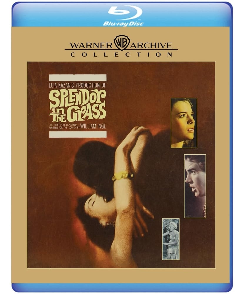 Splendor in the Grass 06/25 Blu-ray (Rental)