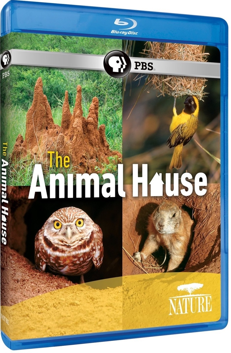 Animal House 06/15 Blu-ray (Rental)