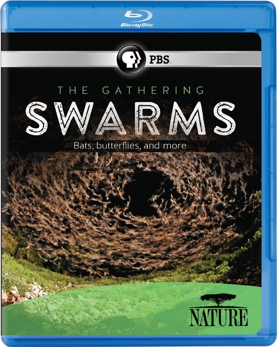 Gathering Swarms 09/14 Blu-ray (Rental)