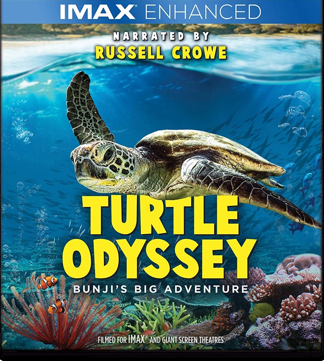 Turtle Odyssey 10/19 Blu-ray (Rental)