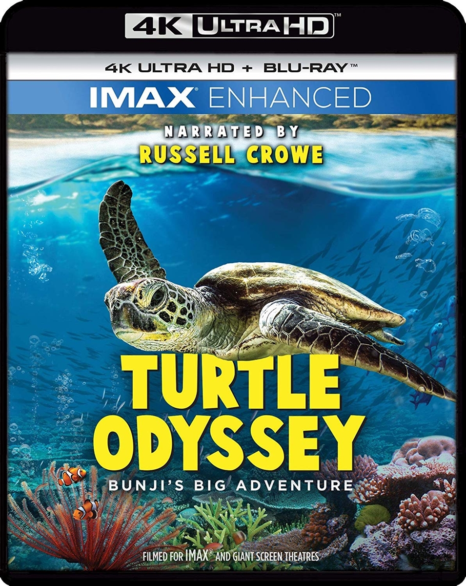 Turtle Odyssey 4K UHD 10/19 Blu-ray (Rental)