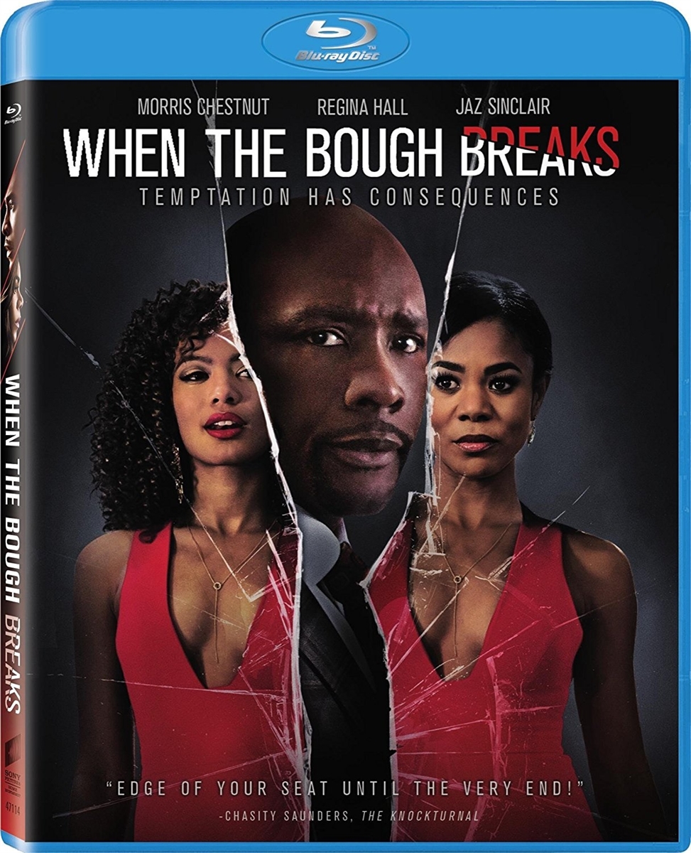 When the Bough Breaks 12/16 Blu-ray (Rental)