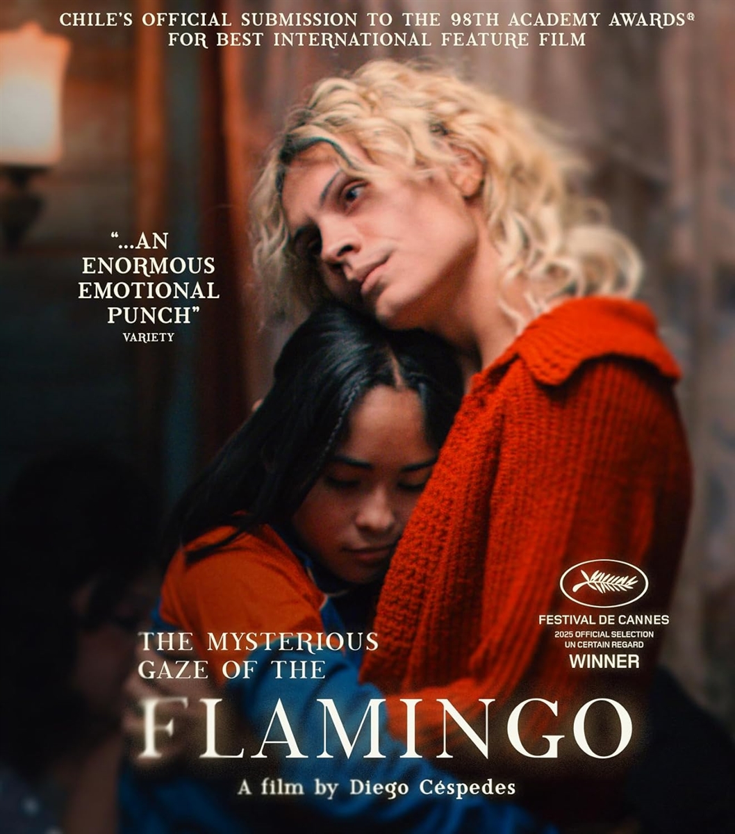Mysterious Gaze Of The Flamingo 03/26 Blu-ray (Rental)