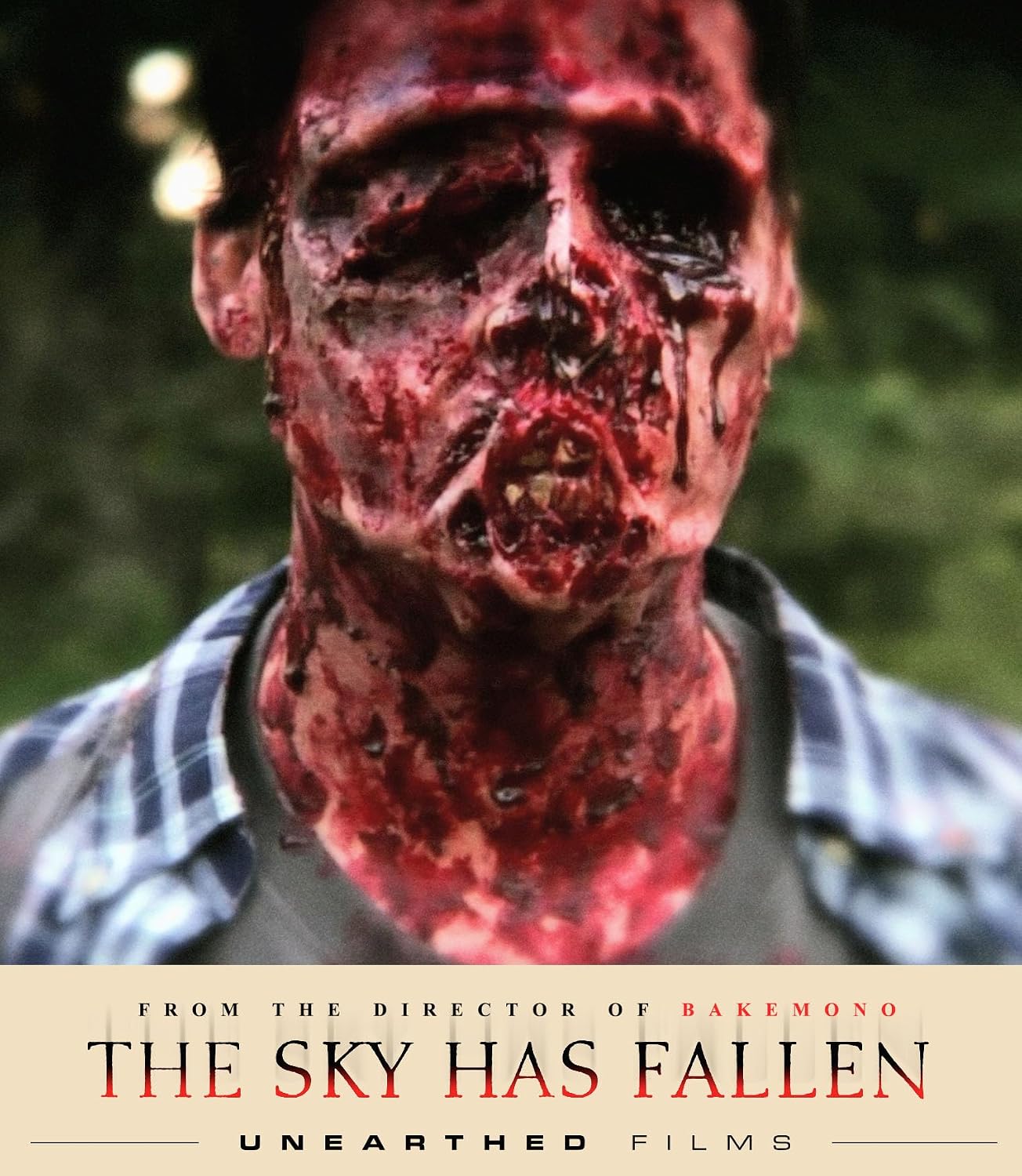 Sky Has Fallen 09/26 Blu-ray (Rental)